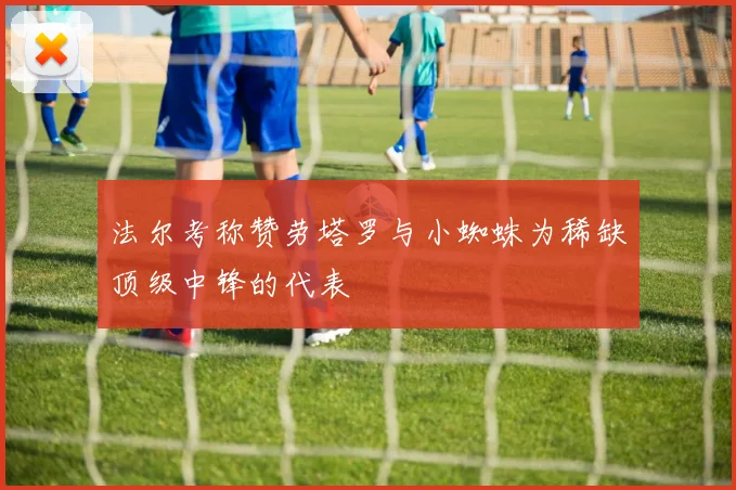 法尔考称赞劳塔罗与小蜘蛛为稀缺顶级中锋的代表